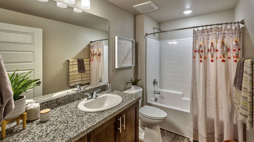 Carson Hills Apartments - Carson City NV - Two Bedroom - Guest Bathroom